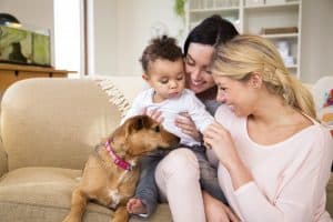 The Importance of Second Parent Adoption in Maryland